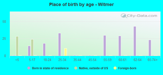 Place of birth by age -  Witmer