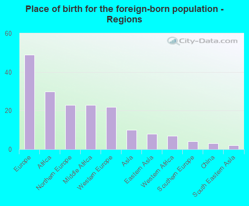 Place of birth for the foreign-born population - Regions