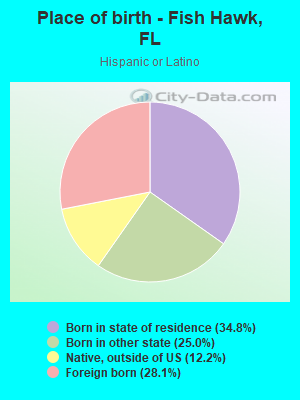 Place of birth - Fish Hawk, FL