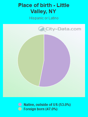 Place of birth - Little Valley, NY