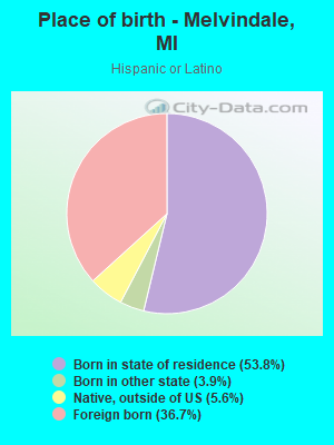 Place of birth - Melvindale, MI