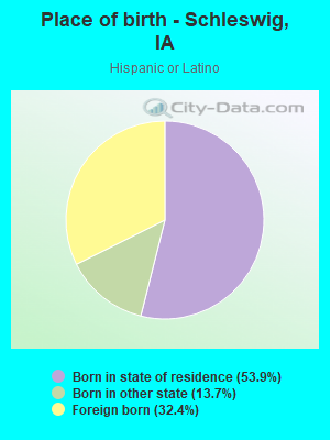 Place of birth - Schleswig, IA