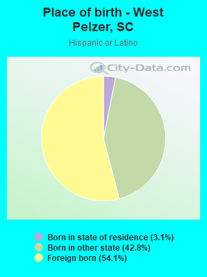 Place of birth - West Pelzer, SC