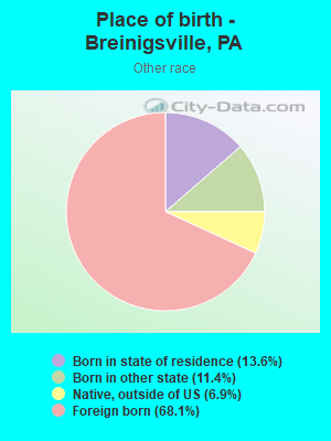 Place of birth - Breinigsville, PA