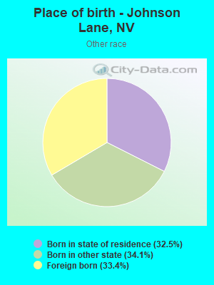 Place of birth - Johnson Lane, NV