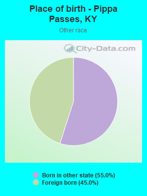 Place of birth - Pippa Passes, KY