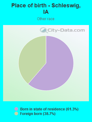 Place of birth - Schleswig, IA