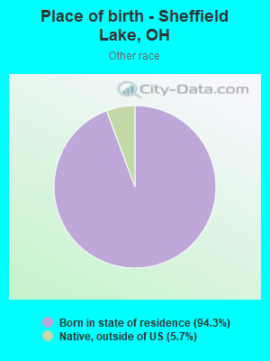 Place of birth - Sheffield Lake, OH
