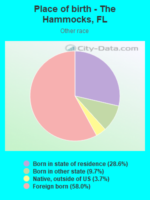 Place of birth - The Hammocks, FL