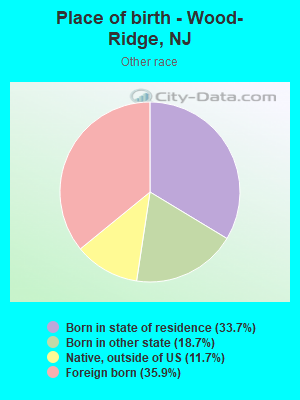 Place of birth - Wood-Ridge, NJ