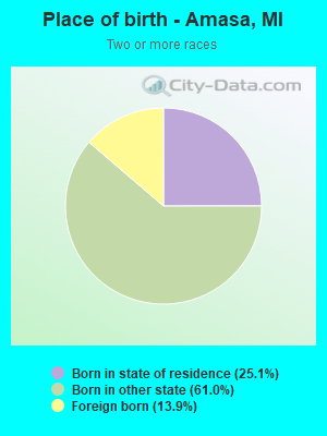 Place of birth - Amasa, MI