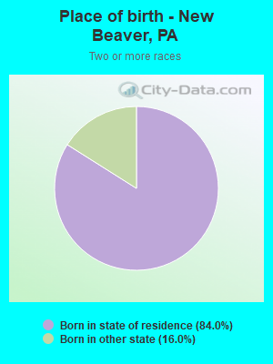 Place of birth - New Beaver, PA