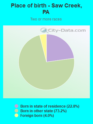 Place of birth - Saw Creek, PA