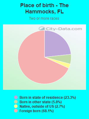 Place of birth - The Hammocks, FL