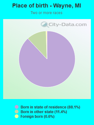 Place of birth - Wayne, MI