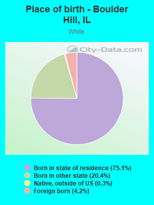 Place of birth - Boulder Hill, IL