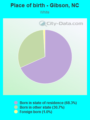 Place of birth - Gibson, NC