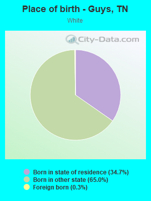 Place of birth - Guys, TN