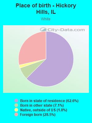 Place of birth - Hickory Hills, IL