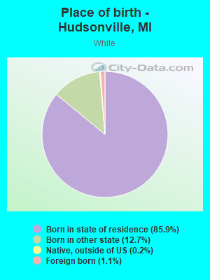 Place of birth - Hudsonville, MI