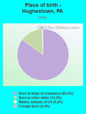 Place of birth - Hughestown, PA