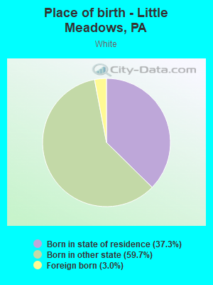 Place of birth - Little Meadows, PA