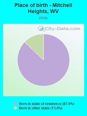 Place of birth - Mitchell Heights, WV