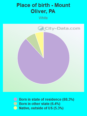 Place of birth - Mount Oliver, PA