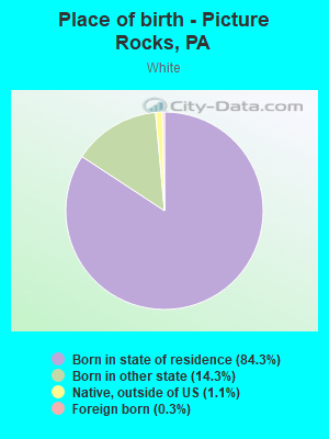 Place of birth - Picture Rocks, PA