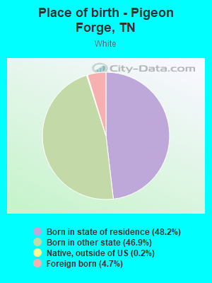 Place of birth - Pigeon Forge, TN