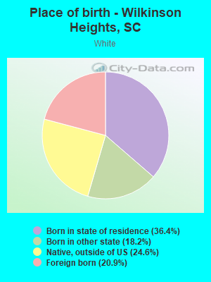 Place of birth - Wilkinson Heights, SC