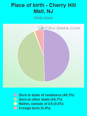 Place of birth - Cherry Hill Mall, NJ