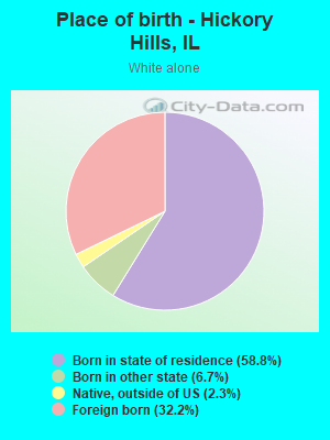 Place of birth - Hickory Hills, IL