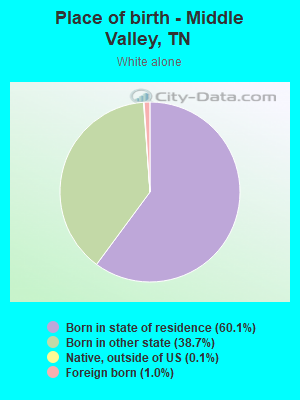 Place of birth - Middle Valley, TN