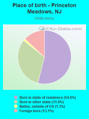 Place of birth - Princeton Meadows, NJ