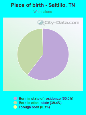 Place of birth - Saltillo, TN