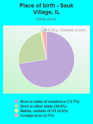 Place of birth - Sauk Village, IL