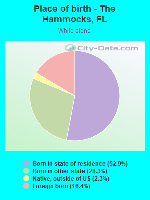 Place of birth - The Hammocks, FL