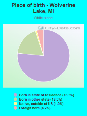 Place of birth - Wolverine Lake, MI