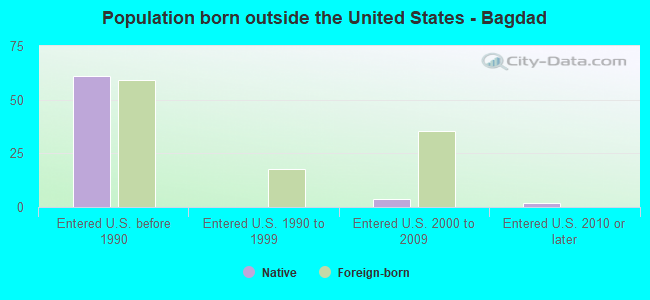 Population born outside the United States - Bagdad