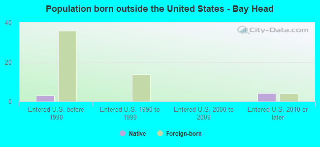 Population born outside the United States - Bay Head