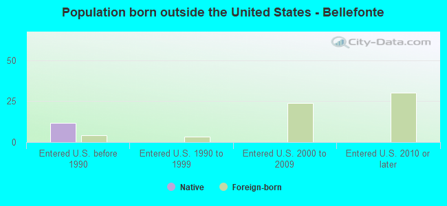 Population born outside the United States - Bellefonte
