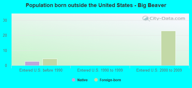Population born outside the United States - Big Beaver