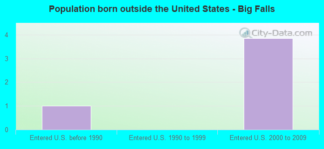 Population born outside the United States - Big Falls