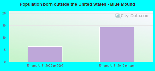 Population born outside the United States - Blue Mound