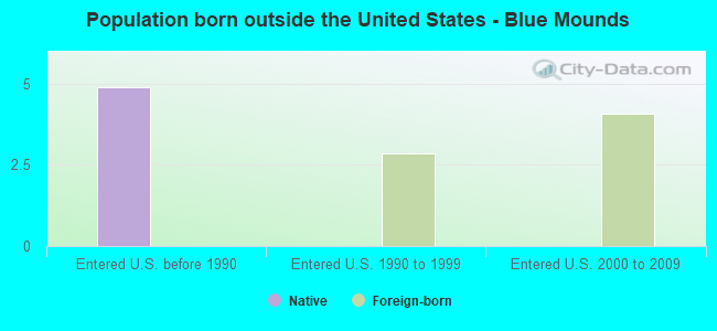 Population born outside the United States - Blue Mounds