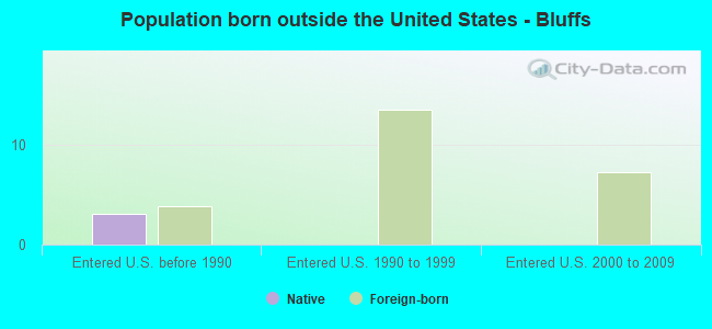 Population born outside the United States - Bluffs
