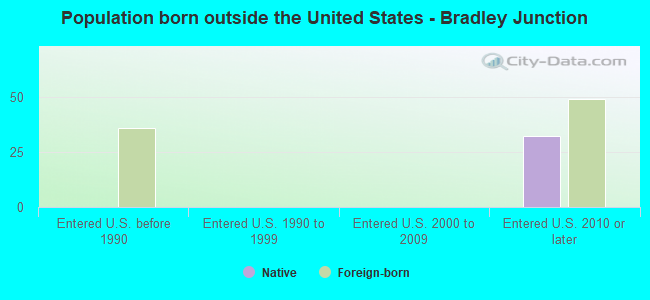 Population born outside the United States - Bradley Junction