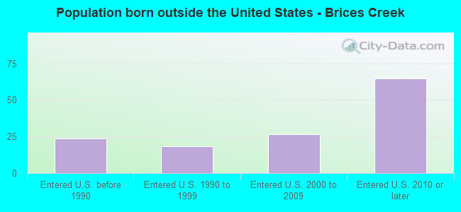 Population born outside the United States - Brices Creek