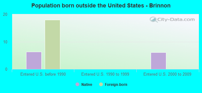 Population born outside the United States - Brinnon